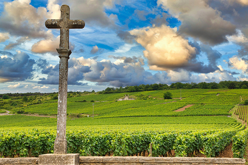 Domaine de la Romanée-Conti